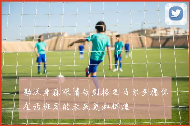 勒沃库森深情告别格里马尔多愿你在西班牙的未来更加辉煌