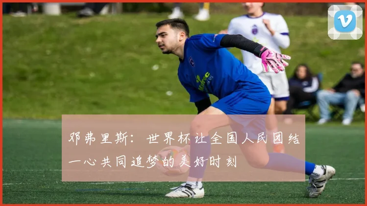 邓弗里斯：世界杯让全国人民团结一心共同追梦的美好时刻
